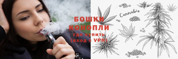 молекула духа Алексеевка