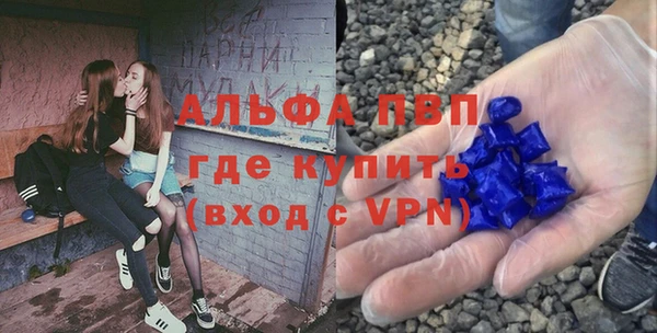 молекула духа Алексеевка