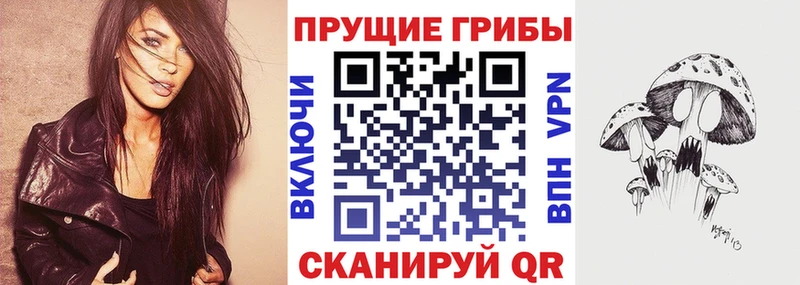 Галлюциногенные грибы Psilocybine cubensis Солигалич